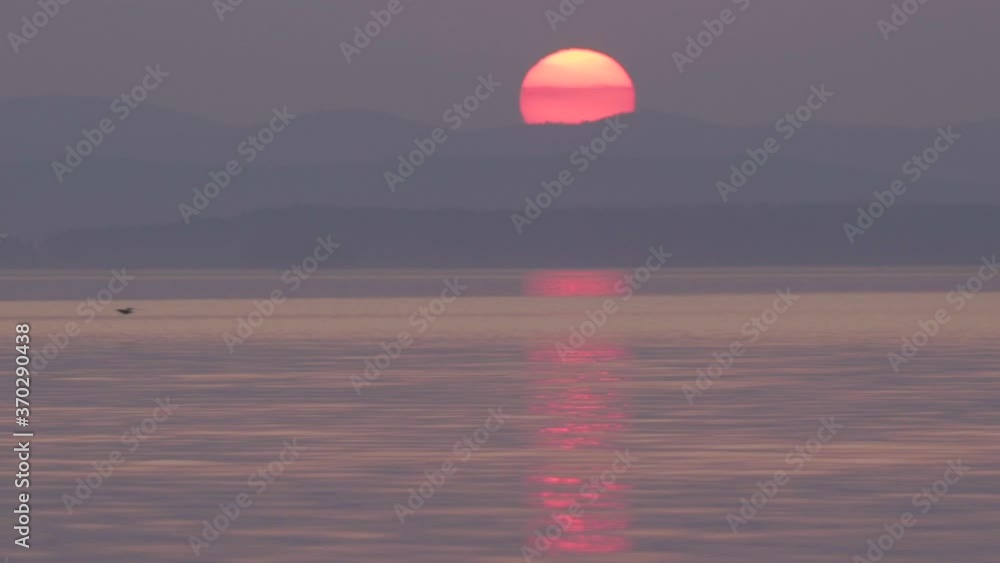 sunset of the red sun over the mountains. reflection in water. ural, lake uvildy. flight of a bird over water. sunset of the red sun over the mountains. reflection in water. ural, lake uvildy. flight of a bird over water.