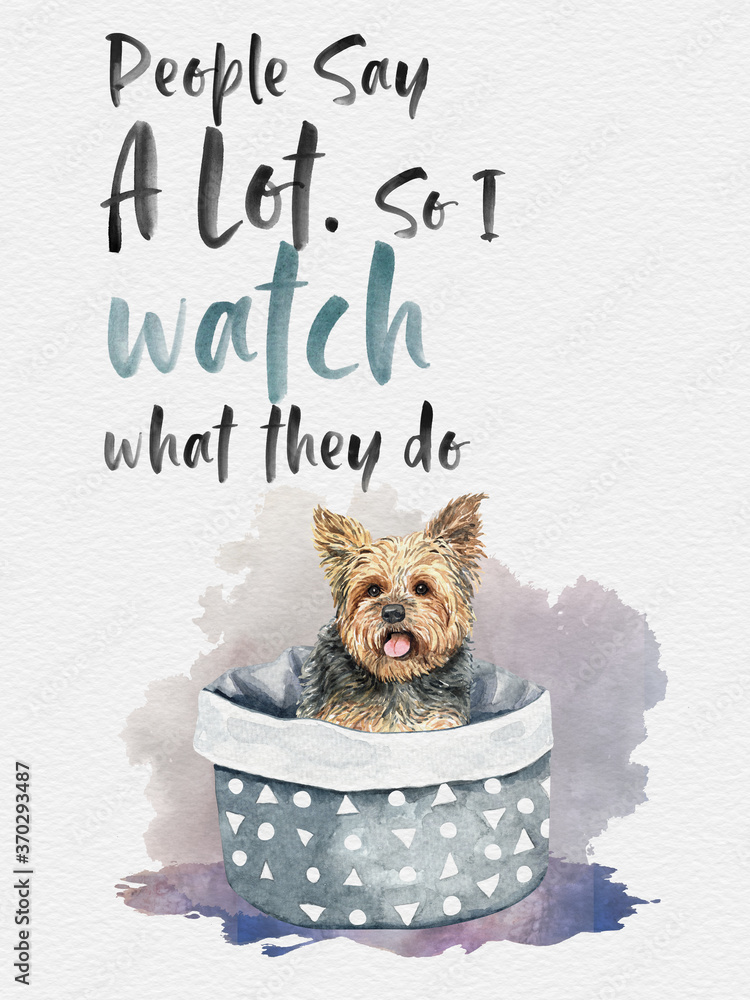 Curious Dog in watercolor quotes artwork Stock Illustration | Adobe Stock Curious Dog in watercolor quotes artwork Stock Illustration | Adobe Stock
