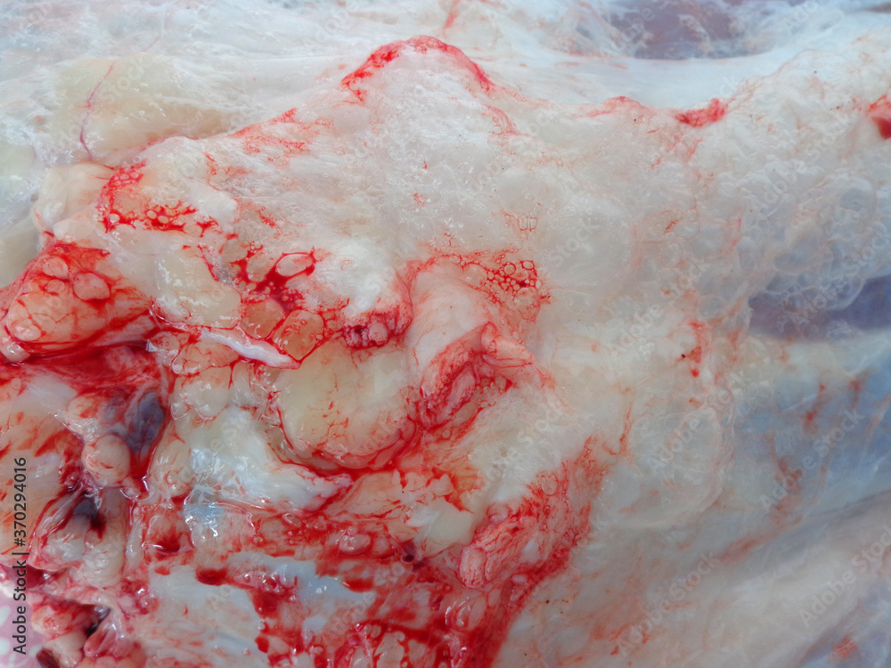 Fototapeta premium raw meat, Meat Texture for background, Texture of meat