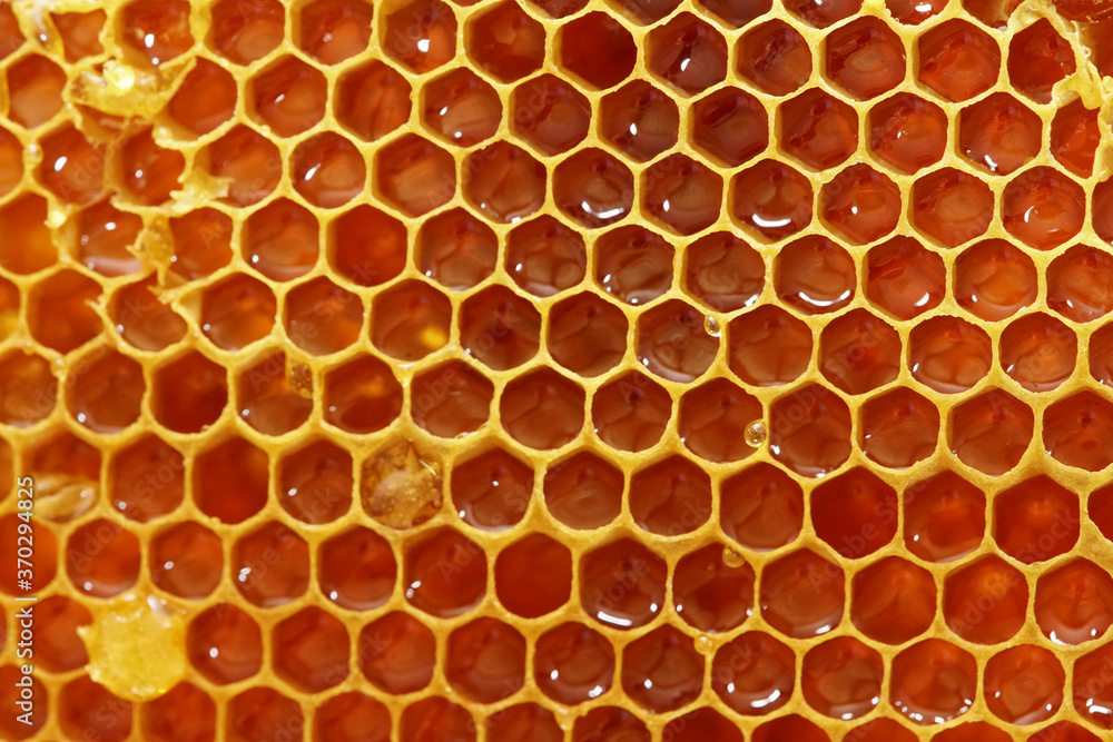 A visit to the beekeeper - honeycombs