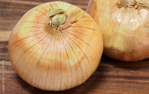 Macro of a Vidalia Onion or sweet onion, selective focus on top.
