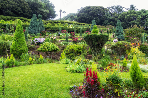 Oedo Botanical Garden Flowers photo