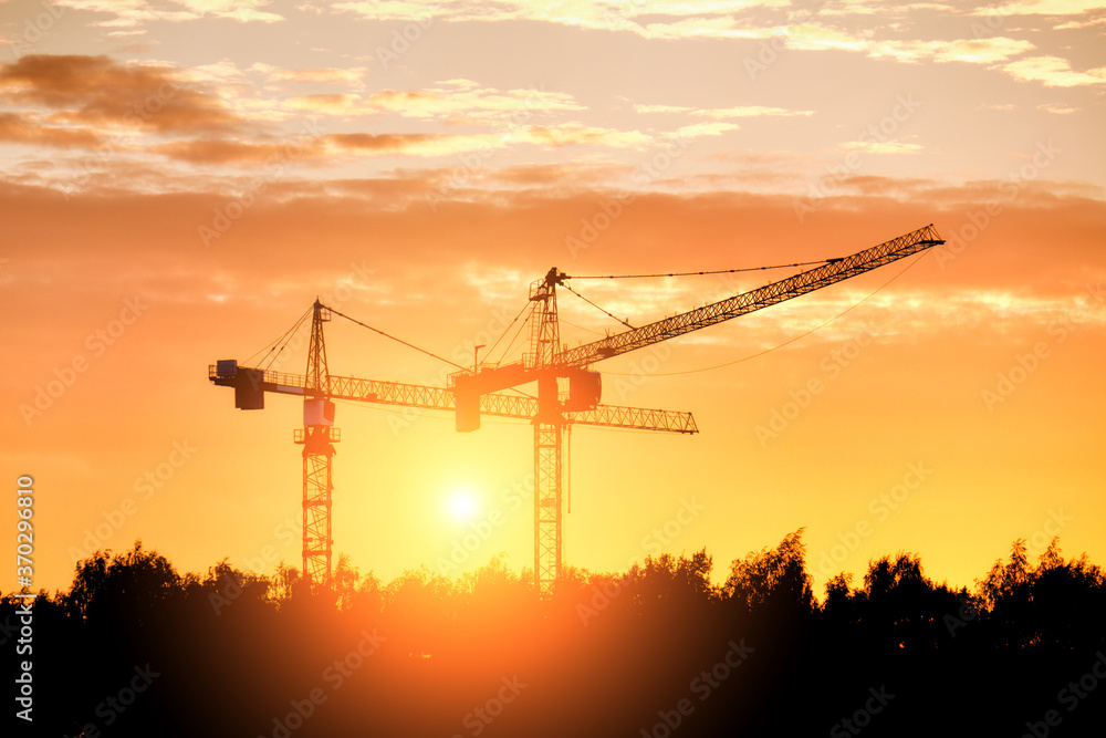 Construction crane in forest landscape against sunset sky background. Wide view of development industry equipment on architecture building site. Real estate development business concept