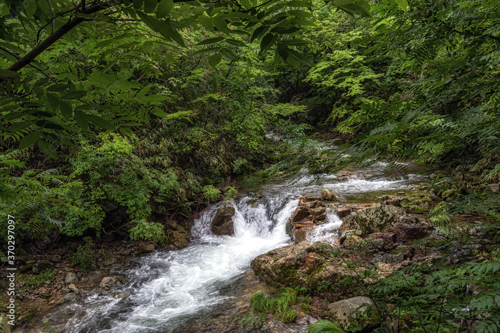 Suncheon Jogysan Mountain Creek Suncheon Jogysan Mountain Creek