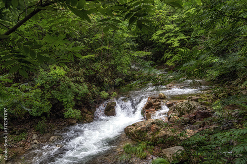 Suncheon Jogysan Mountain Creek