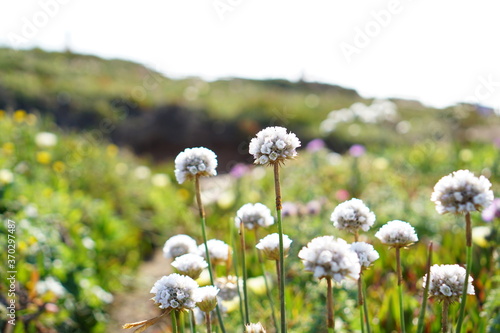 the westernmost tip of Europe  Cabo da Roca