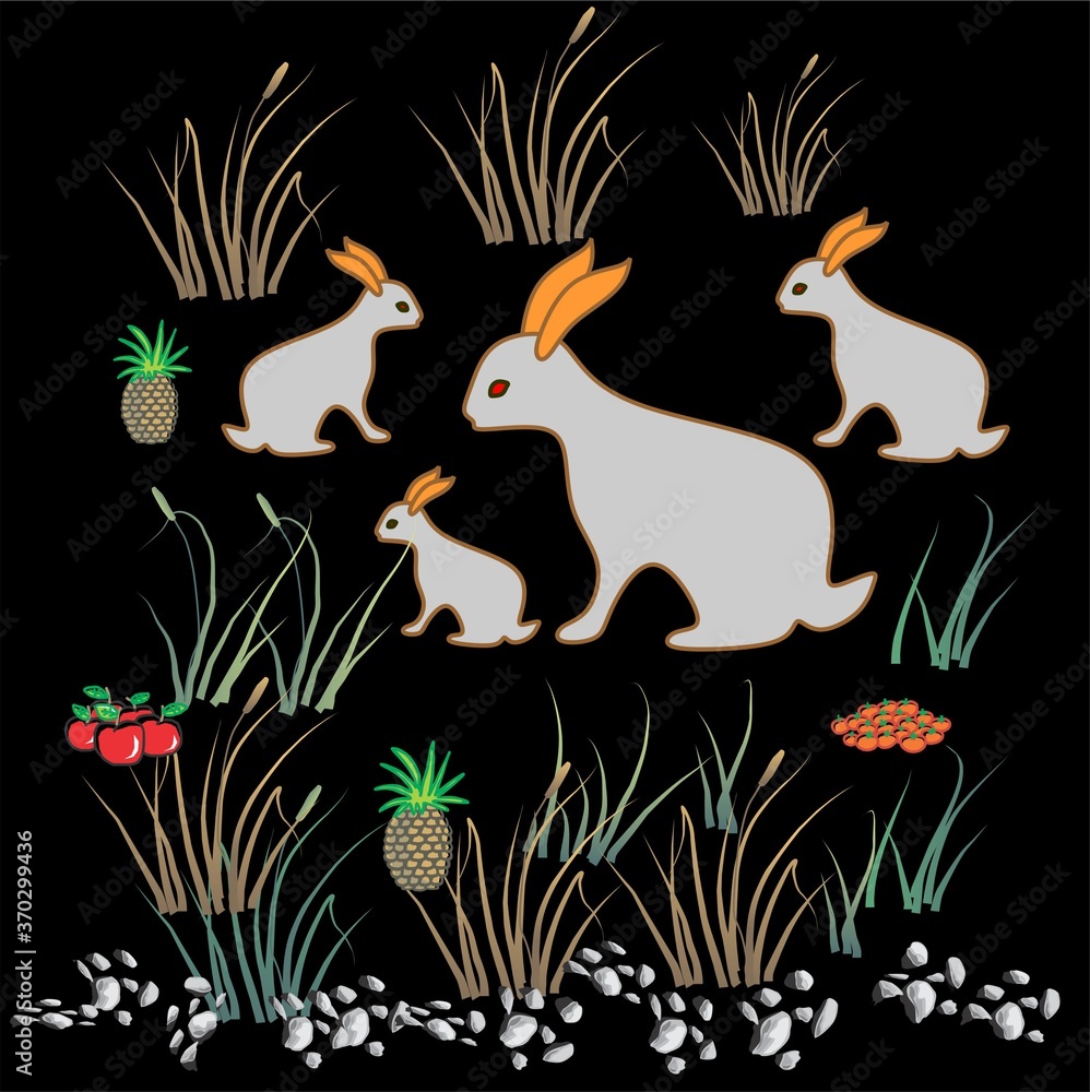 Group of Rabbit Group of Rabbit
