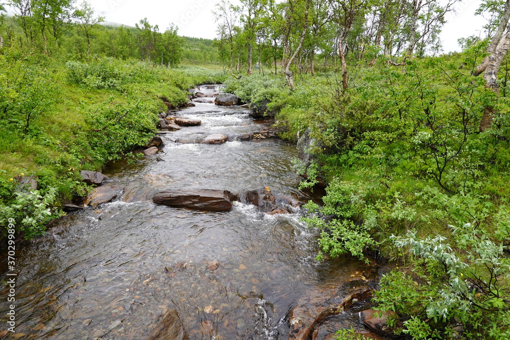 River with clean drinkable water in Sweden hiking trail