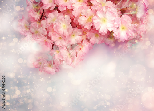 spring background flowering white sakura cherry flowers tree and abstract bokeh