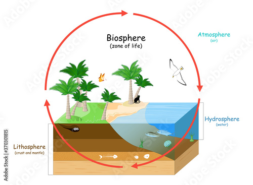 Biosphere. natural ecosystems with wildlife photo