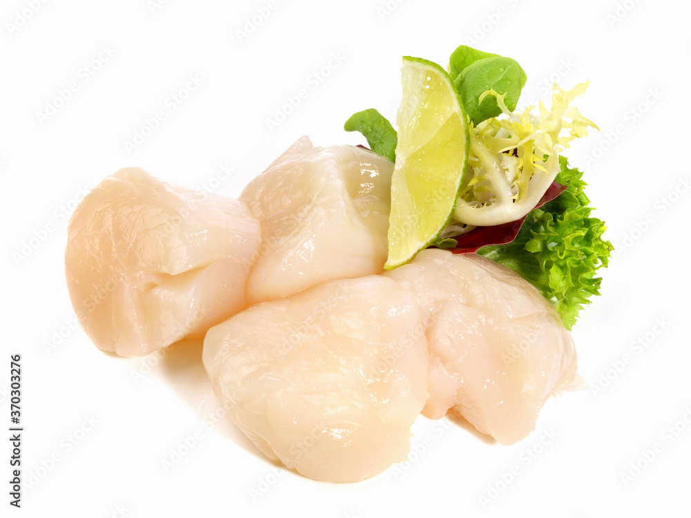 Raw Scallops isolated on white Background