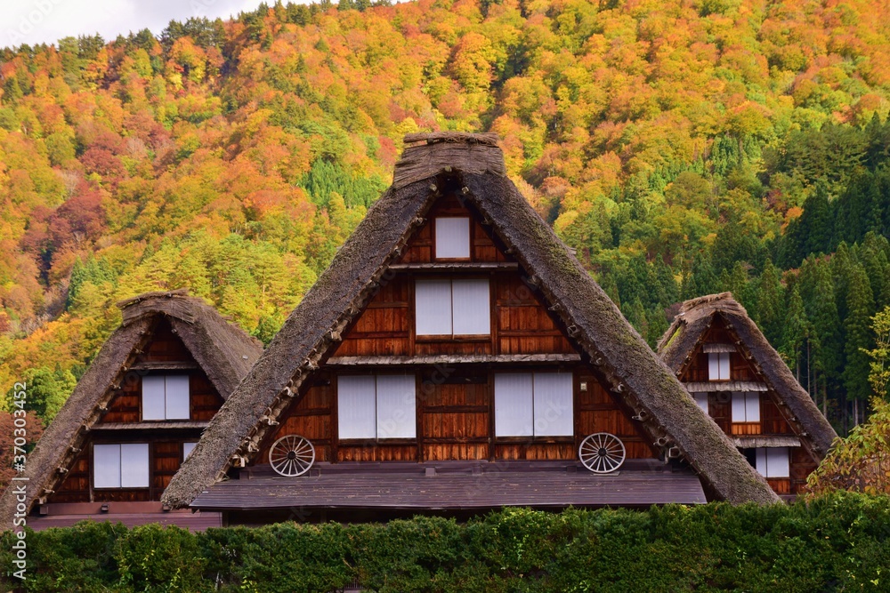 世界遺産 白川郷 秋景色 世界遺産 白川郷 秋景色
