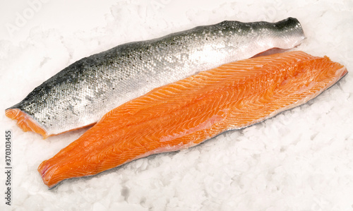 Foto Salmon Fish Fillet on Ice isolated on white Background