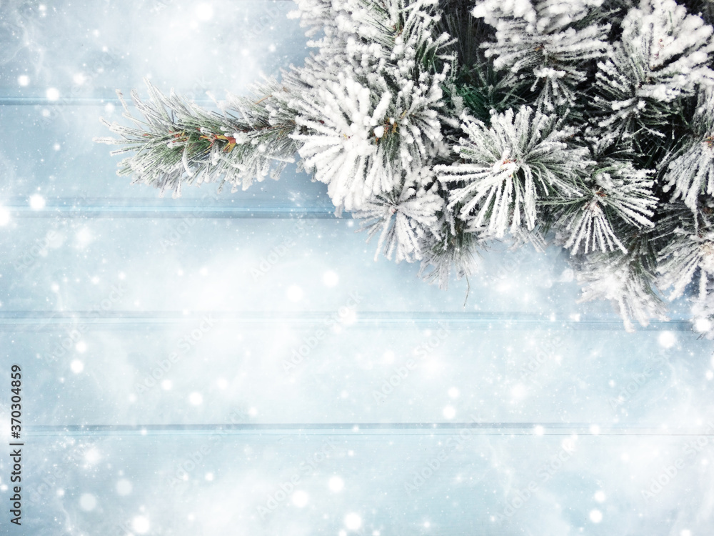 winter background with fir branches cones and snow winter background with fir branches cones and snow
