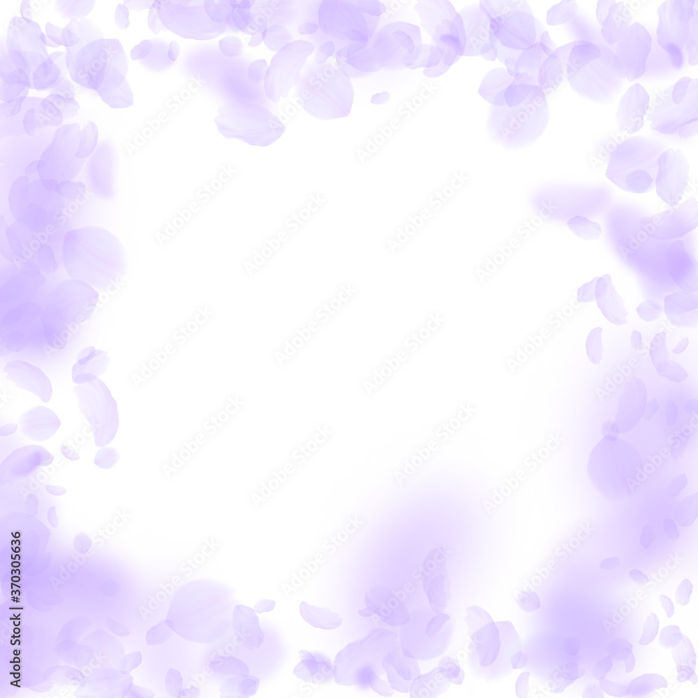 Violet flower petals falling down. Fancy romantic Violet flower petals falling down. Fancy romantic