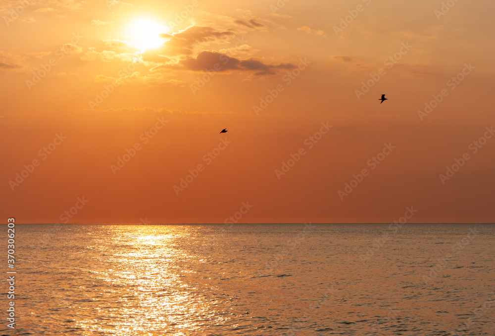 beautiful sunset over the Baltic Sea. In the background, 2 birds against the golden-orange sky beautiful sunset over the Baltic Sea. In the background, 2 birds against the golden-orange sky