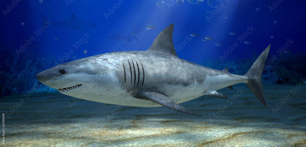 Fototapeta premium Fish Shark underwater in the blue ocean. 3d illustration.