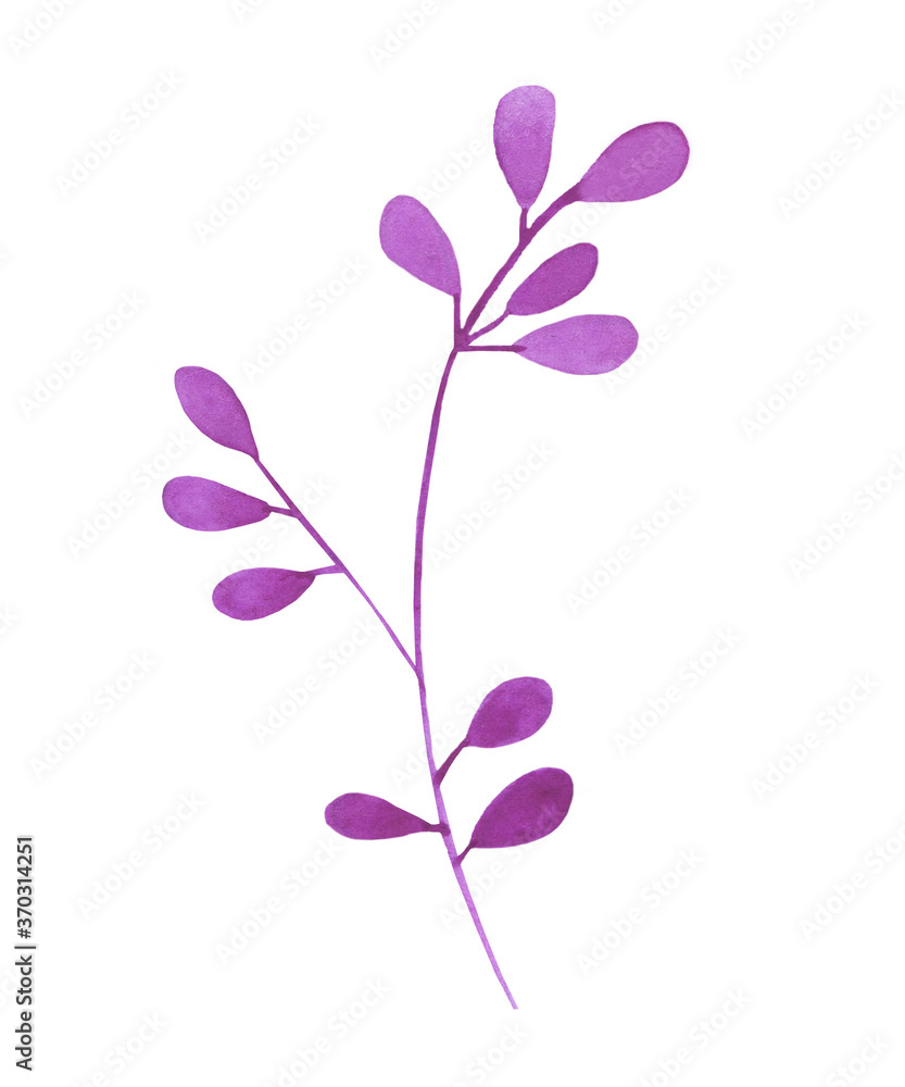 Violet leaf on white background watercolor illustration