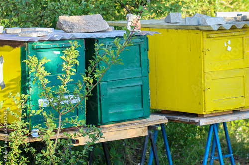 Blick in der Nähe von Bienenstöcke zur Honiggewinnung. photo