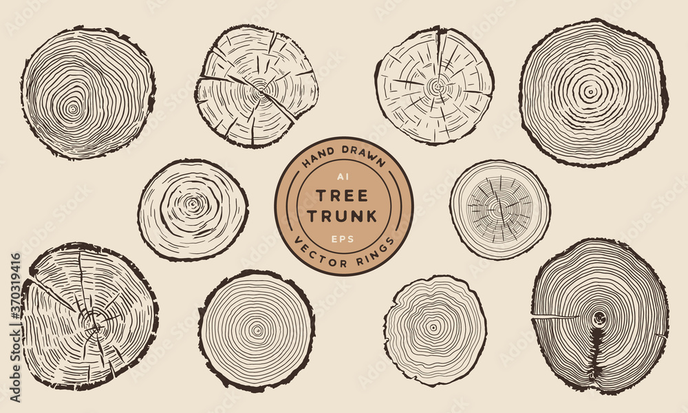 Wood Tree Trunk Rings - Hand Drawn Vector Set