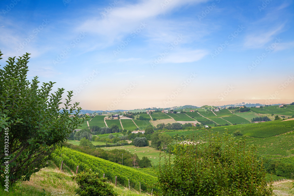 Hills in Piedmont, Italy. Landscape near Calosso, Asti.