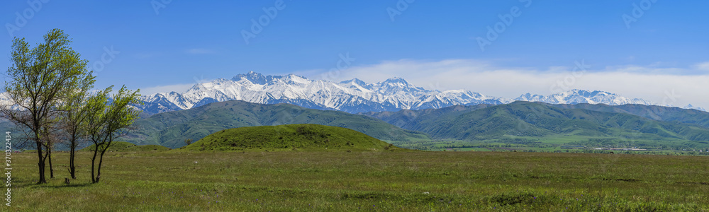 Fototapeta premium Allphotokz Issyk Way 20090430 0111 1DM3 PS