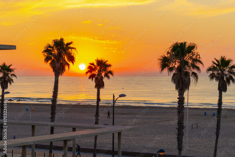 Obraz premium Orange dawn sunrise and sunset on the beach with palm trees