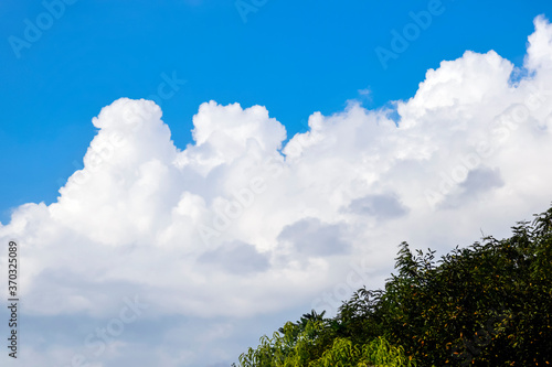 Bright blue sky with white clouds on summer day, weather. Beautiful landscape, background. Copy space. © Marina_Nov