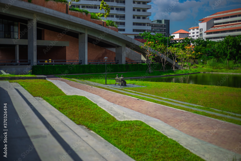 Fototapeta premium Natural background in the park with many kinds of plants, large stones, allow tourists to stop and take photos while traveling, the beauty of the ecosystem