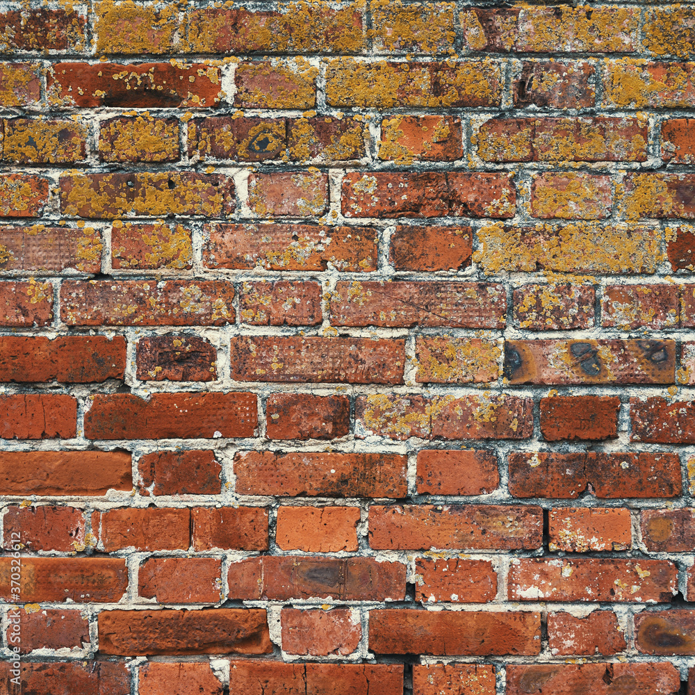 Fototapeta premium Red brick wall texture background for any product.