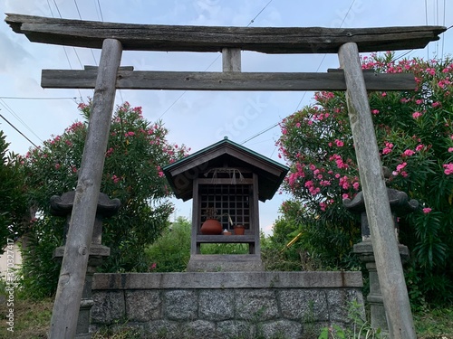 old wooden house