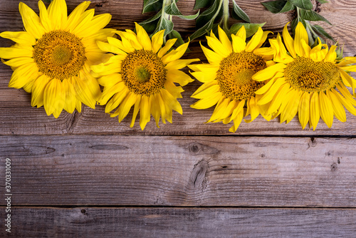 sunflowers on rustic wooden background,  summer harvest concept, top view