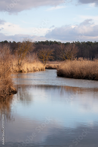 early spring river in the golden light 