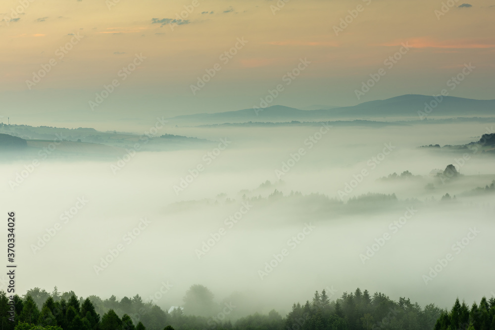 Beautiful Morning at Countryside. Rolling Hills in Morning Fog. Pink Sky. Blue Hour