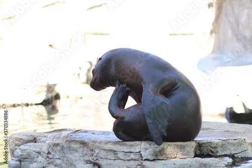Animal and nature photos from the Schoenbrunn Zoo in Vienna