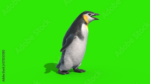 Penguin Fast Walkcycle Green Screen Loop Side 3D Rendering Animation 4K