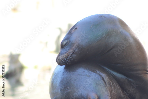 Animal and nature photos from the Schoenbrunn Zoo in Vienna