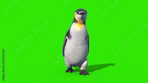 Penguin Walkcycle Green Screen Loop Front 3D Rendering Animation 4K