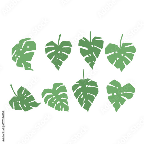 Set of monstera leaves texture tropical leaves isolated on a white background, vector illustration