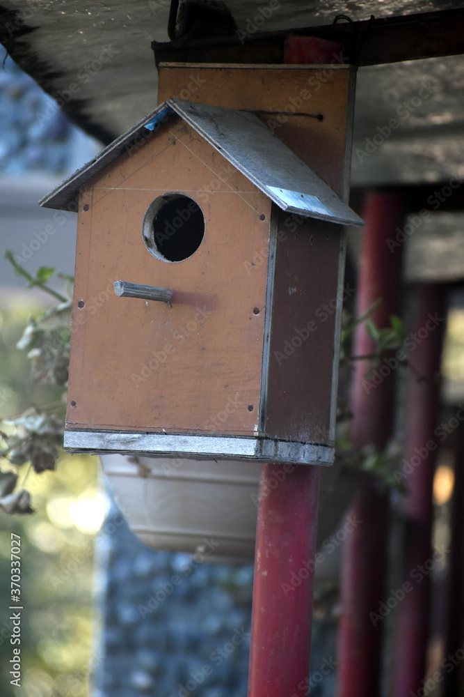 Beautiful picture of bird house