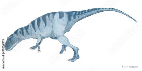 ピアトニツキサウルス　ジュラ紀中期の獣脚類。南半球、今の南アメリカ大陸に当たる地域で生息していた肉食恐竜である。眉間の上部にアロサウルスの仲間にある一対の鶏冠状の隆起がある。ためにアロサウルス上科に属する比較的原始的な恐竜であるとされていた。分類としては現在ではメガロサウルス科に属する。部分的骨格が2体分発見されているがアロサウルスを小型にしたような体型。全長は4メートル程度と推定される。 © Mineo