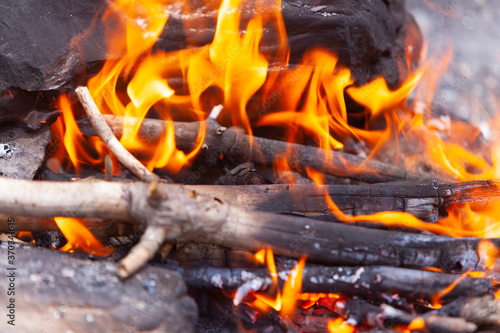 Campfire in the mountains. Close up hot Campfire Campfire in the mountains. Close up hot Campfire