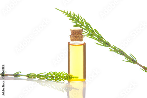 horsetai essential oil in  beautiful bottle on White background