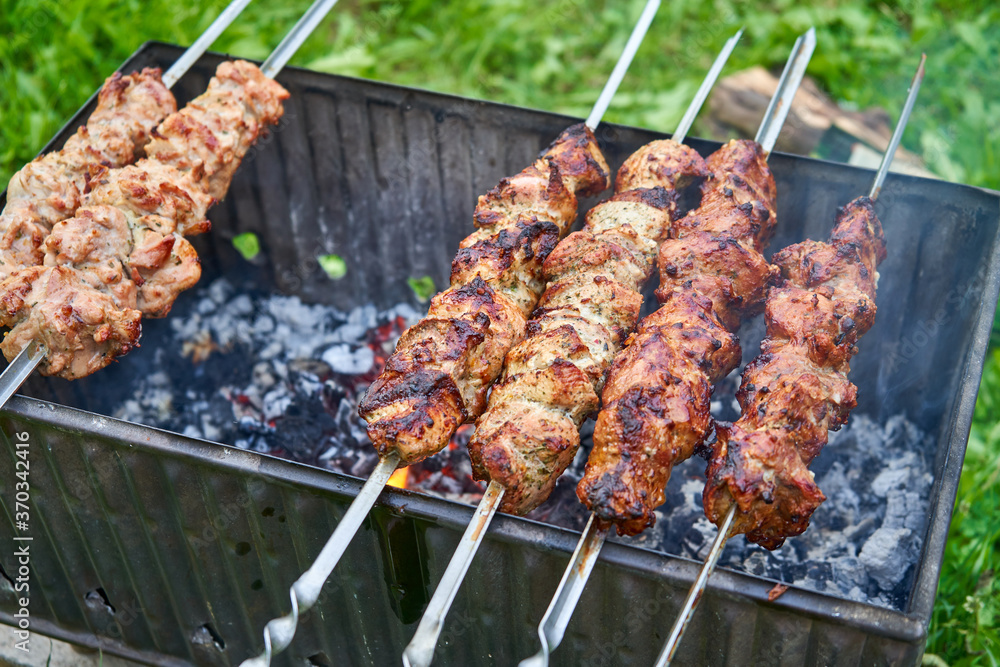 shish kebab on the barbecue ready to be eaten 