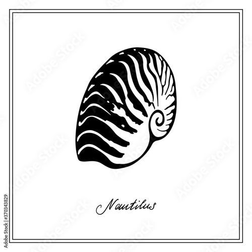 Nautilus Tiger Seashell. Black and white square card. Hand-вrawn collection of greeting cards. Vector illustration on a white background.