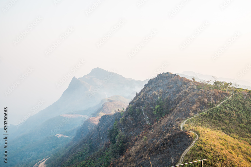 Fototapeta premium Forest fire in summer Thailand 