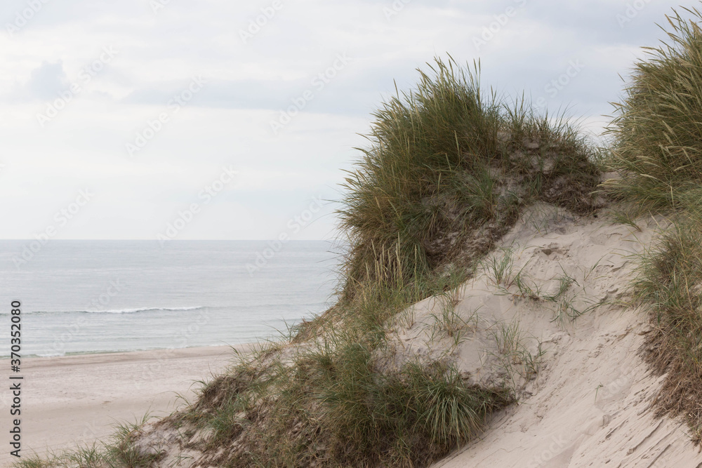 Düne an der Nordsee Düne an der Nordsee