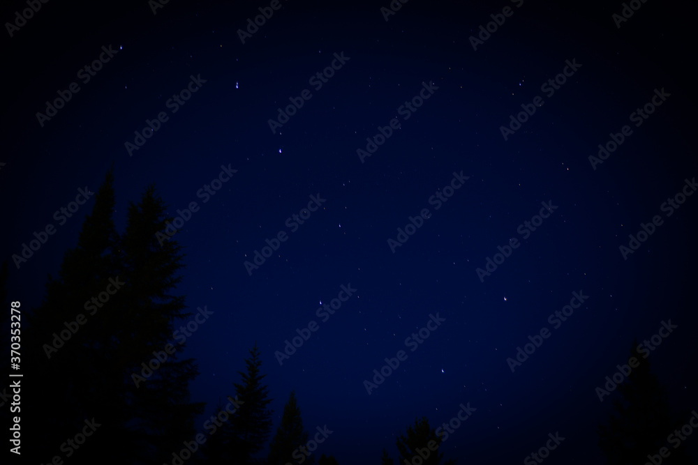 Naklejka premium starry night sky
