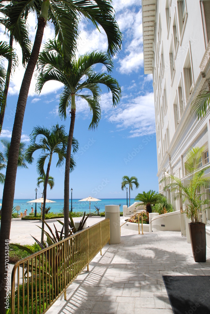 resort seaside parmtree sky hawaii  hotel