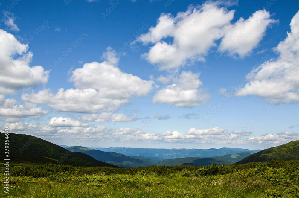 Beautiful summer landscape of Carpathian mountains from Chornohora ridge. Spruces on hills, cloudy sky and green meadow. Travel destination scenic